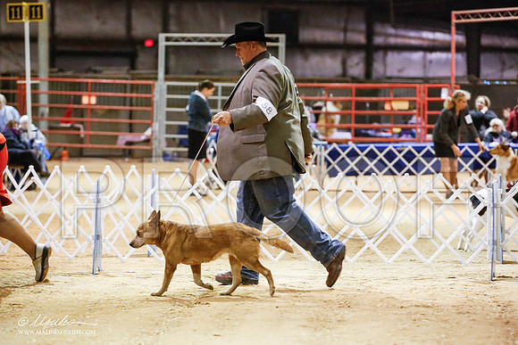 _JN_4982-2-GlenRoseJan2015-HR3