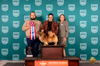 Tibetan Spaniel #318 Sat VBIS Judge William Chrazanowski