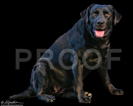 Lab-0011e-HR