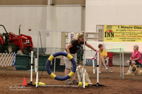 Standard Novice 16" Saturday
