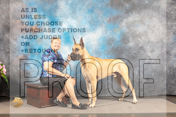 Great Dane #11 SAT CUSTOM_MJ_6250_Houston_2022_HR3