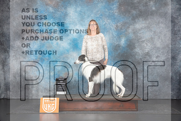 Silken Windhound #160 Sun BOW Judge Sandra Phillips__JP_1403_UKCLNGVIEWOCT2024_2024_HR3