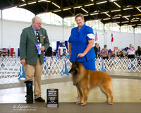 Belgian Tervuren #17 Sun NC BOW Fick Glenda Ann Judge Douglas C Taylor +A2