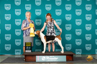 Treeing Walker #1409 Sat G4 Judge Diane Price