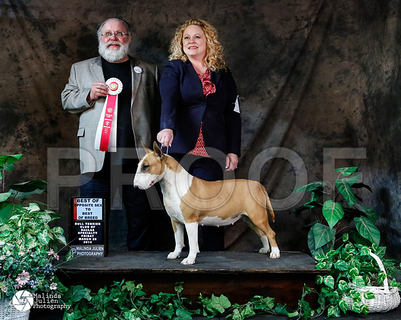 _M3_4778-2-AzleMar14-HR