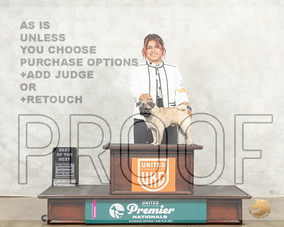 Pug #475 Sat BOB Judge Karen Hynek__MJ_8465_Premier_2022_HR3