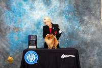 Pomeranian #43 Sat WB Judge Carol Prykosz