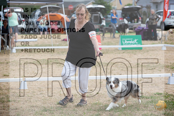 Ringside Longview WA 2024 Miniature American Shepherd #245_JJL_3433_Longview WA_2024_HR3