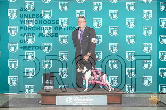 Rat Terrier #553 Fri WP Judge Valerie Piltz__JP_1596_Premier_2024_HR3