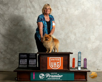 Pomeranian #224 Sat TCGCh