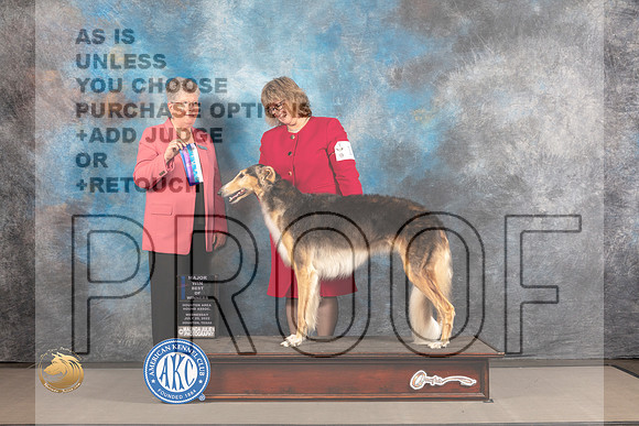 Borzoi #10 WED BOW Major Judge Sylvie McGee_MJ_1887_Houston_2022_HR3