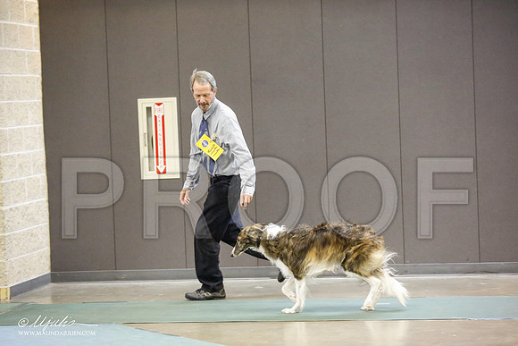 _JN_4574-BeltonJan2015-HR3