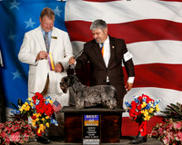 Cesky Terrier # 5 Thurs BOB Huber Nelson and Tim Smith and P Bale Judge W Wornall