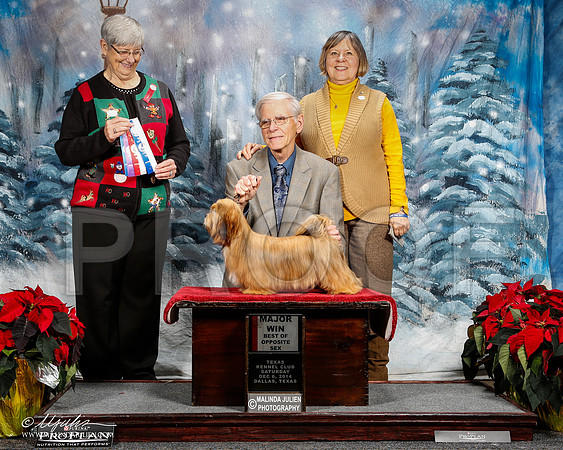 _ST_8695-2-DallasDec2014-HR3