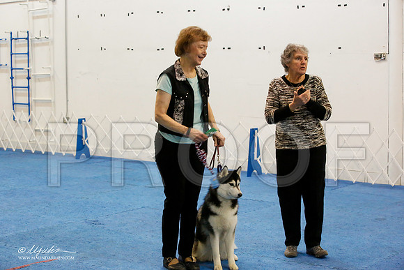 _M3_7619-AddisonHuskyMar2015-HR3