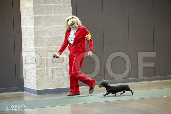 _JN_3937-BeltonJan2015-HR3