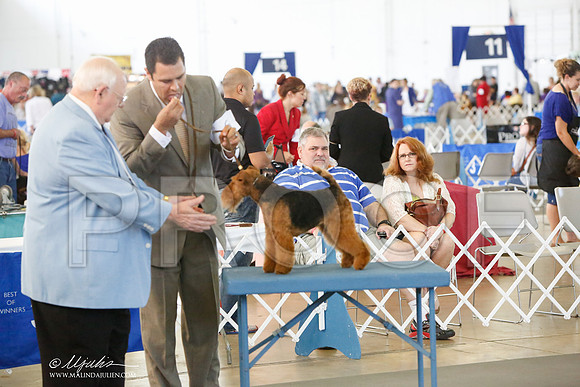 _JJ_8560-DallasJul2014-HR3