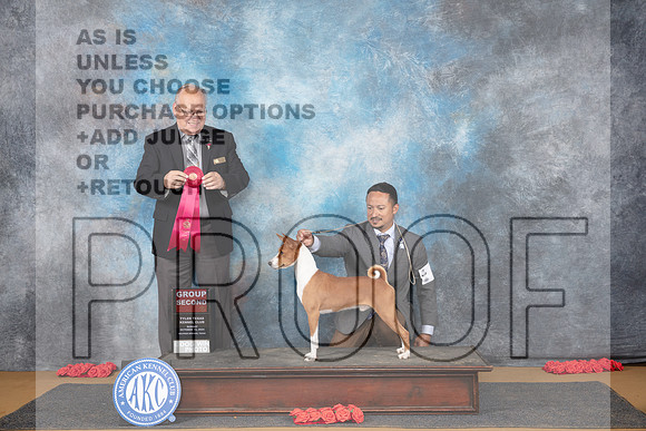 Basenji # Sun G2 Judge Sidney Marx__JP_0861_Sulphur Springs_2024_HR3