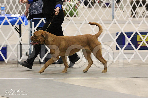 IMG_9118-Abilene2011-HR3