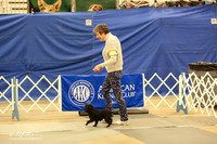 Affenpinscher B Match Ring Fri LR Midland Feb 2013