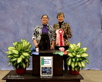 Affenpinscher Sun Rally Novice Lori Graham Evelyn Shoemaker  LR Midland Feb 2013