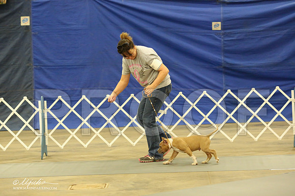AmStaff-1045-LR