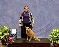 Australian Cattle Dog Sun Beginner Novice Lori Graham LR Midland Feb 2013