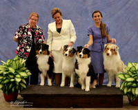 Australian Shepherd Maggie Pryor Family Portrait  LR Midland Feb 2013