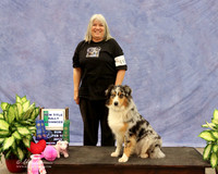 Australian Shepherd Sun Rally Novice Mari Bailey LR Midland Feb 2013