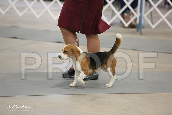 Beag-9669-LR
