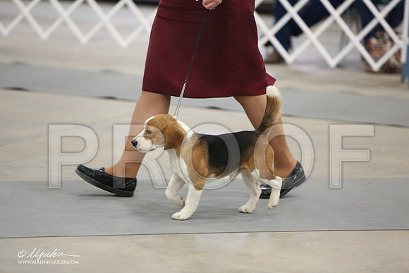 Beag-9670-LR