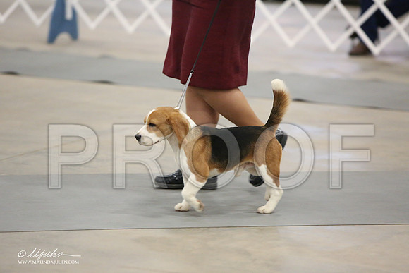 Beag-9671-LR