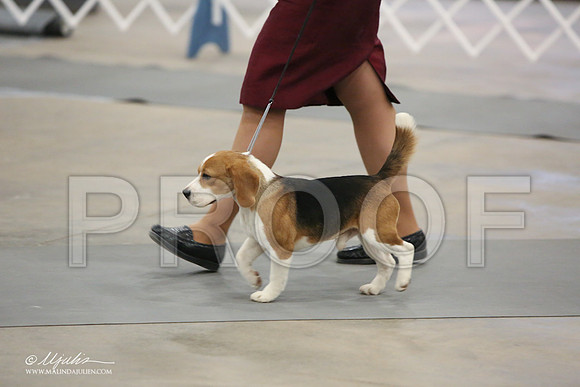 Beag-9672-LR
