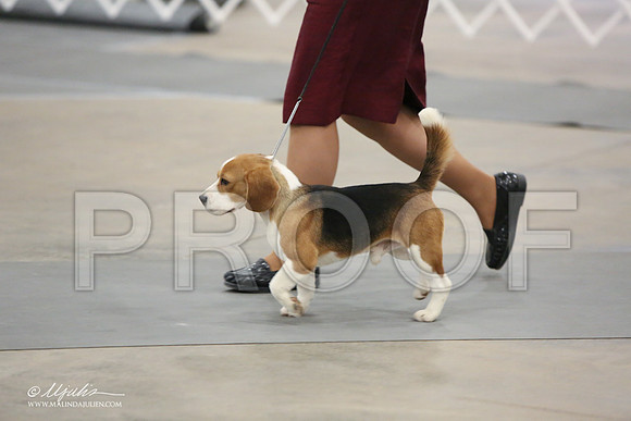 Beag-9673-LR