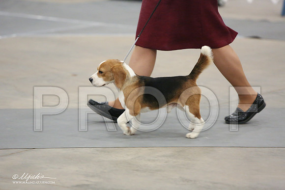 Beag-9674-LR