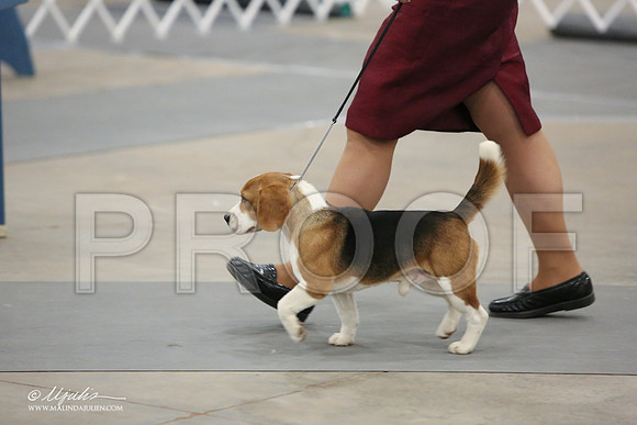Beag-9676-LR