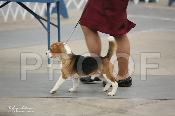 Beag-9678-LR
