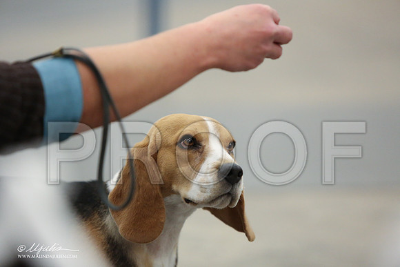 Beag-9198-LR