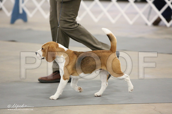 Beag-9214-LR