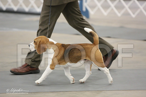 Beag-9216-LR