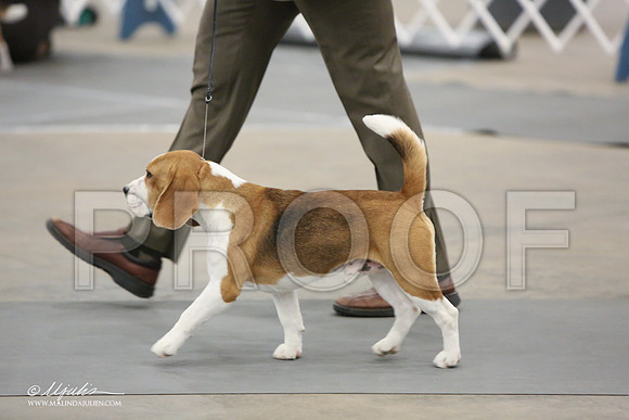 Beag-9218-LR