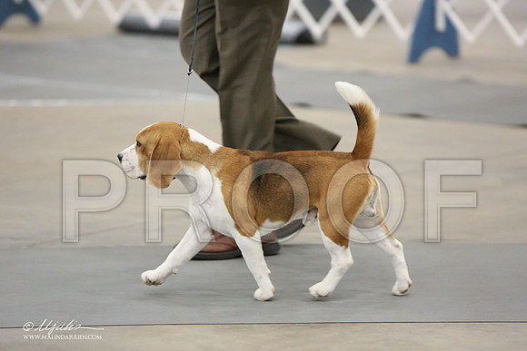Beag-9217-LR