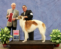 Borzoi #8 Sun Group 2 Richard Terry Judge R Hartinger  LR Midland Feb 2013