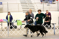 Borzoi Sat Ring LR Midland Feb 2013