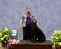 Bouvier Sun Rally Advanced Lori Graham LR Midland Feb 2013