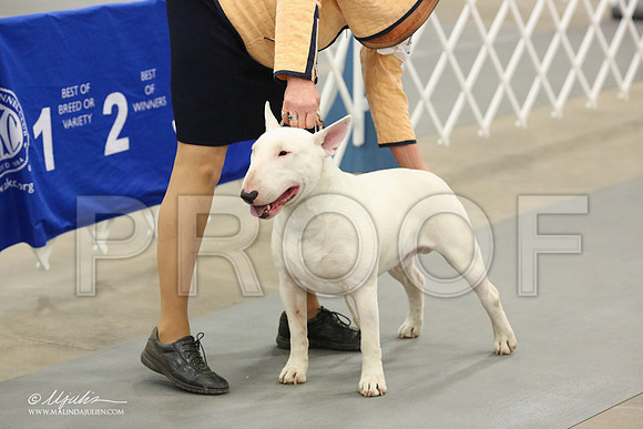 BullT-5133-LR