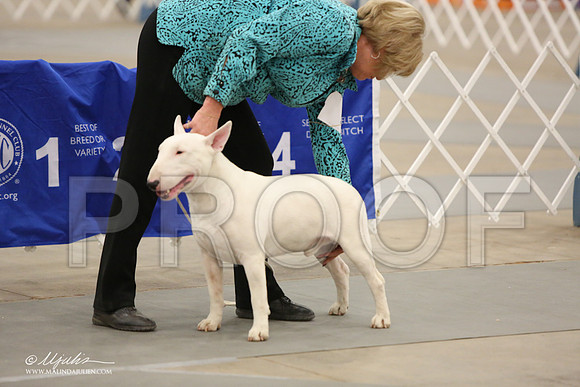 BullT-9878-LR