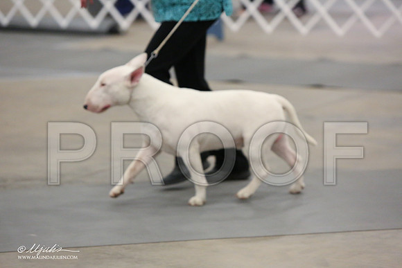 BullT-9881-LR