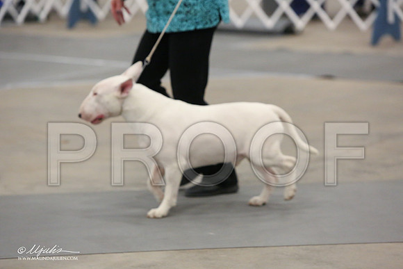 BullT-9883-LR