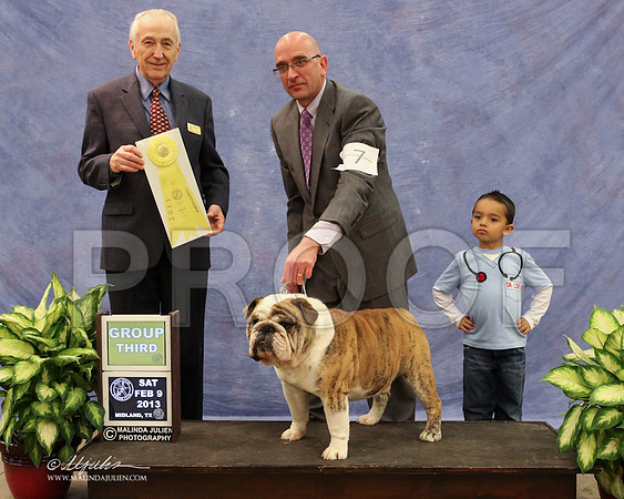 bulldog-9973-LR